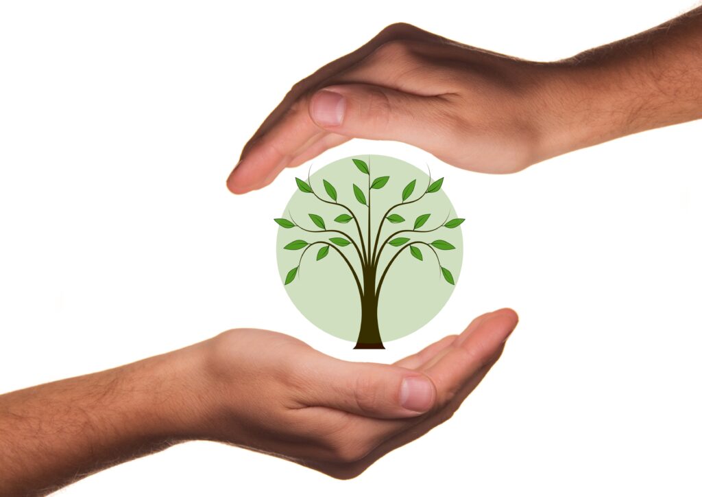Qual a importância do meio ambiente para a vida? Qual a importância do meio ambiente para a vida?